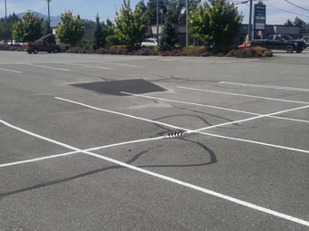 Asphalt Parking Lot Maintenance